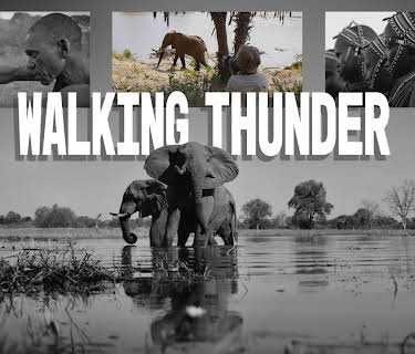 Walking Thunder (2019)