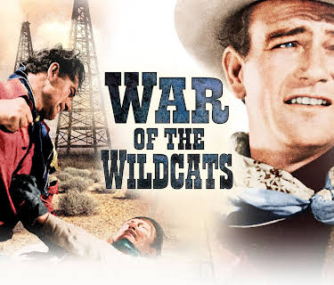 War of the Wildcats