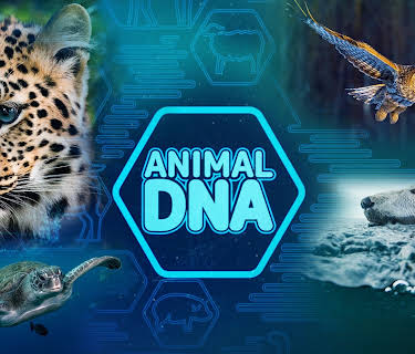 Animal DNA