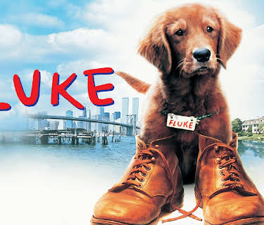 Fluke (1995)