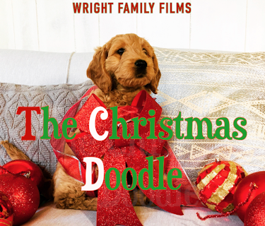 The Christmas Doodle (2021)