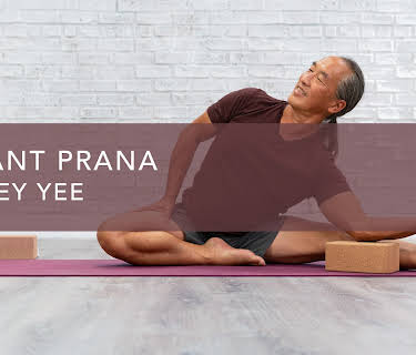 Vibrant Prana (2020)