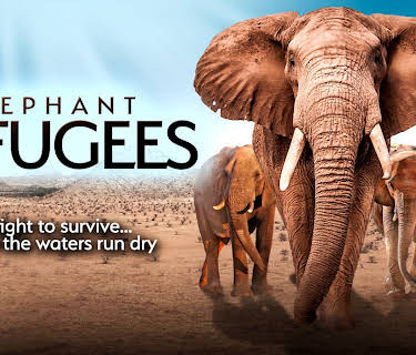 Elephant Refugees (2022)