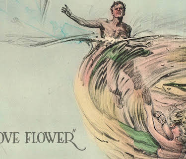 The Love Flower (1920)