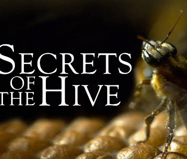 Secrets of the Hive