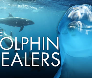 The Dolphin Dealer (2021)