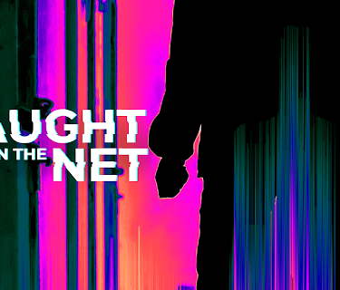 Caught in The Net