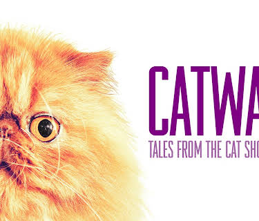 Catwalk: Tales from the Cat Show Circuit (2018)