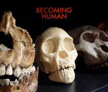 Becoming Human
