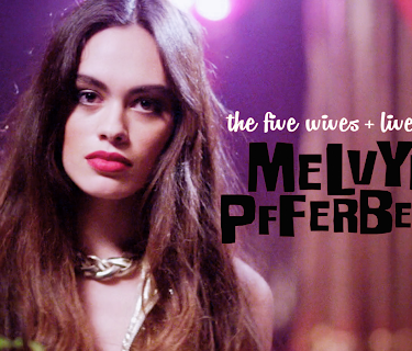 The Five Wives And Lives Of Melvyn Pfferberg (2016)