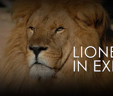 Lioness in Exile (2012)