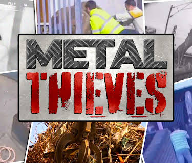 Metal Thieves (2013)