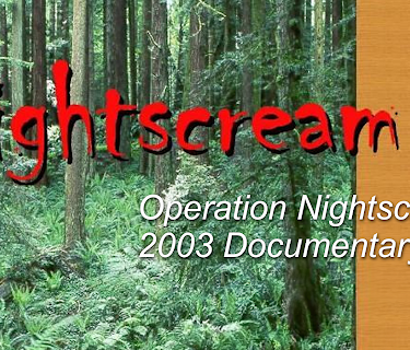 Operation Nightscream 2003 (2007)