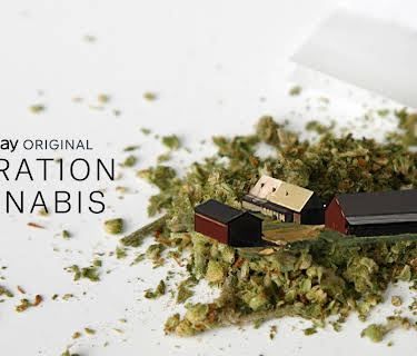 Operation Cannabis S01