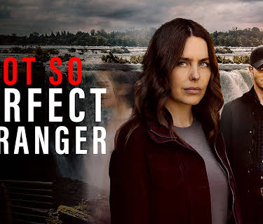 Not So Perfect Stranger (2025)