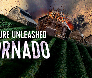 Nature Unleashed: Tornado (2005)