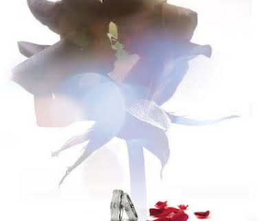 Still Standing (2009)