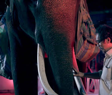Pop Aye (2017)