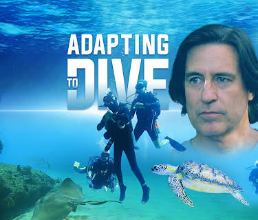 Adapting To Dive (2022)