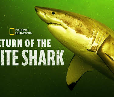 Return of the White Shark (2023)