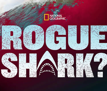 Rogue Shark? (2021)
