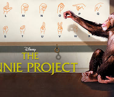 The Jennie Project (2001)