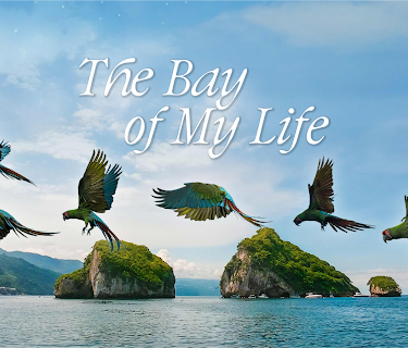 The Bay of My Life (2025)