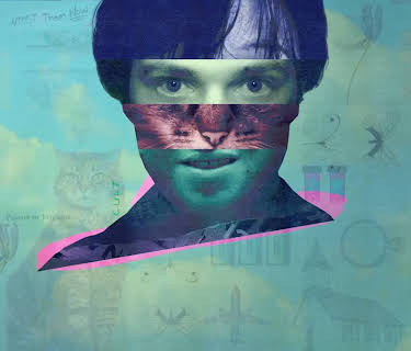 The Curious Case of...