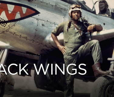 Black Wings (2012)