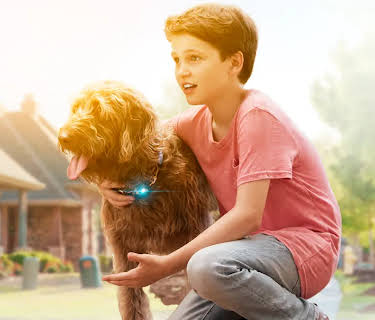 Think Like a Dog (2020)
