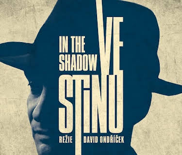 Ve stínu (2013)