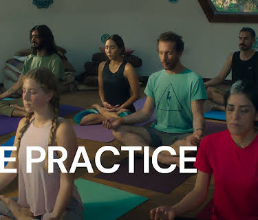 The Practice (2024)