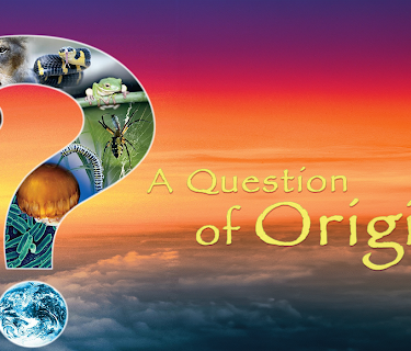Question of Origins