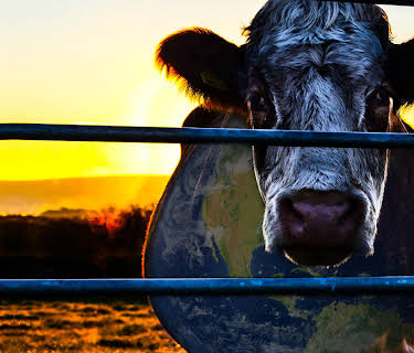 Cowspiracy: The Sustainability Secret (2014)