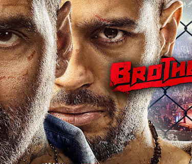 Brothers (2015)