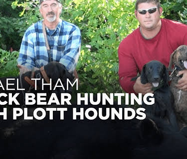 Mikael Tham: Black Bear Hunting with Plott Hounds