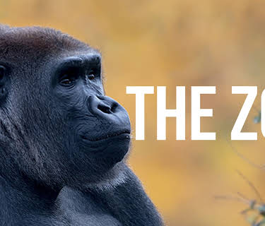 The Zoo