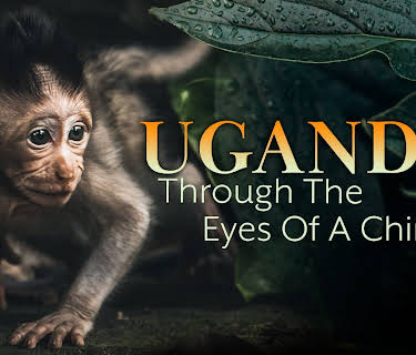 Uganda Through the Eyes of a Chimp (2026)