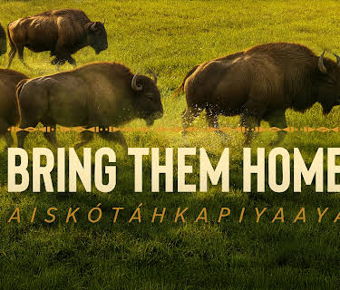Bring Them Home (2024)