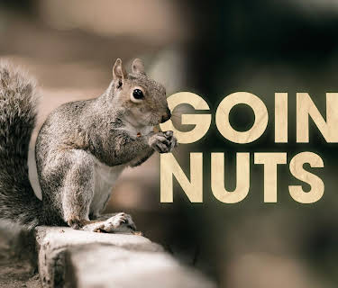 Going Nuts (2019)