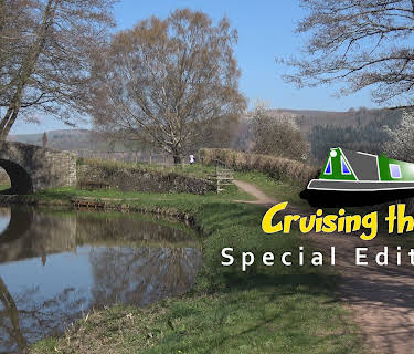 Cruising the Cut: Special Editions