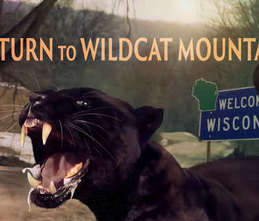 Return to Wildcat Mountain: Wisconsin's Black Panther Nexus (2020)