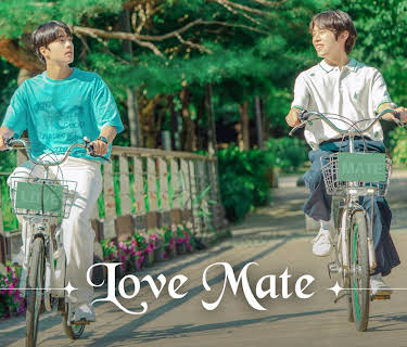 Love Mate