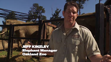 Jeff Kinzley