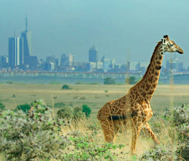 Grensesprengende vitenskap: Vårt utrolige hjem (2021)