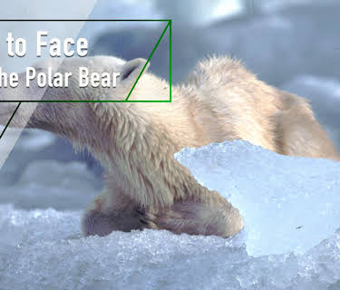 Face to Face With the Polar Bear (2005)