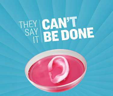 They Say it Can't Be Done (2021)