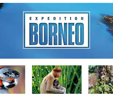 Expedition Borneo