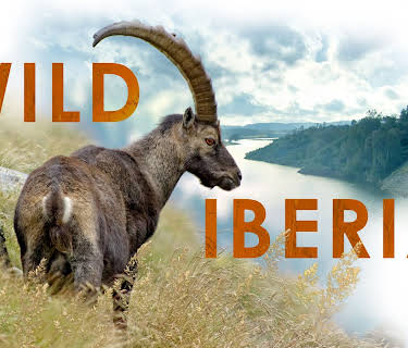Wild Iberia