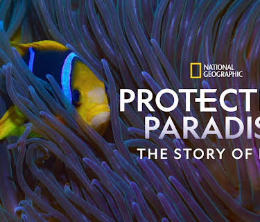Protecting Paradise: The Story of Niue (2024)